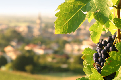 Vigne et village